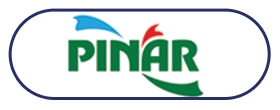 Pınar